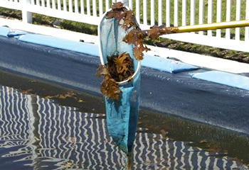 сачок для бассейна