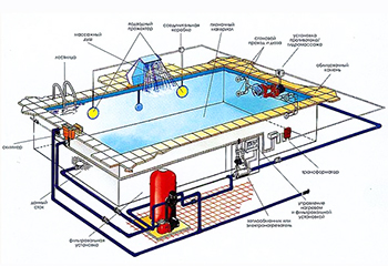 проект бассейна